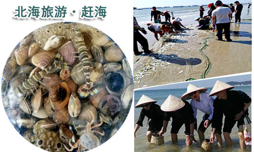 北海旅游 蘇州到北海旅游團價格_路線