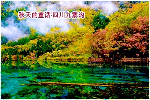 四川九寨溝旅游 北海到九寨溝旅游路線和價格