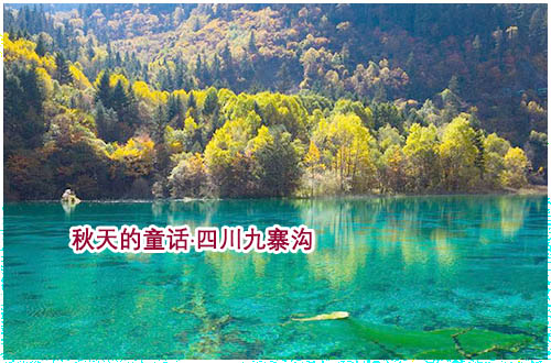 四川九寨溝旅游 北海到九寨溝旅游路線和價格